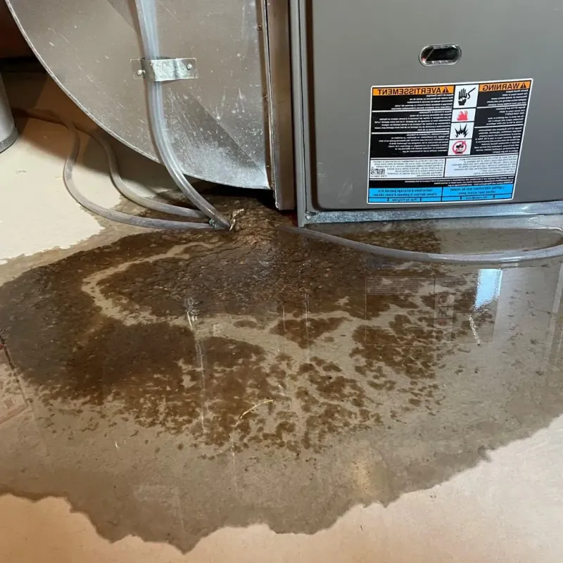 Pipe Burst and Leak Restoration in Saint Bernard Parish, LA